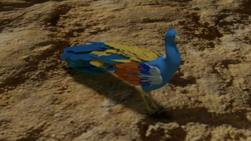Beauty Peacock