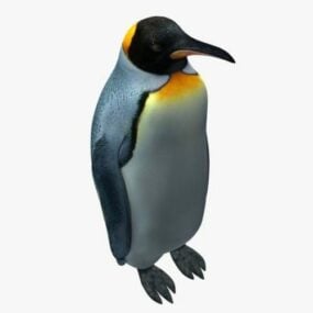 Modello 3d del pinguino adulto