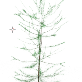 Model 3d Pohon Pinus Musim Dingin