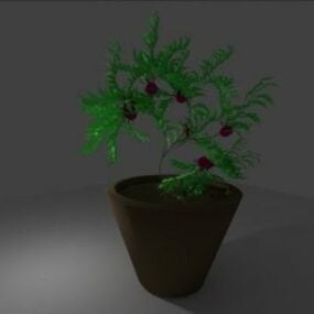 Small Plant Potted V1 3d model