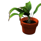 Plante en pot en plastique