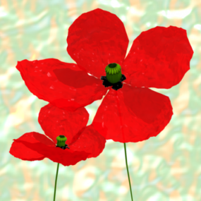 Poppies flower 3d model