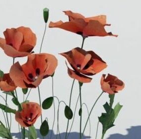 Campo de amapolas de flores modelo 3d