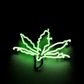 3D model dekorace Leaf Neon Light