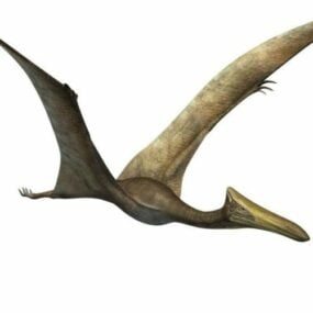 케찰코아틀루스 비행 공룡 3d 모델