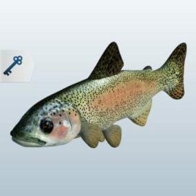 Regnbueørred fisk 3d model