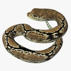 Model 3D dzikiego grzechotnika węża