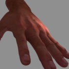 Realistisk menneskelig hånd