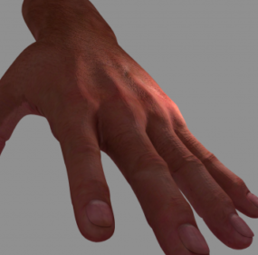 Modello 3d realistico della mano umana