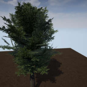 Realistic Chestnut Tree 3d model