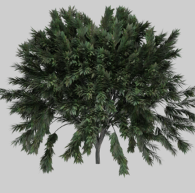 Modelo 3d de arbustos de árboles realistas