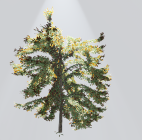 نموذج شجرة أوروبية واقعية ثلاثي الأبعاد