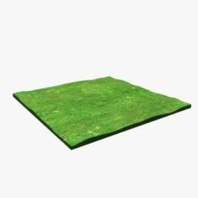 직사각형 잔디 필드 3d 모델