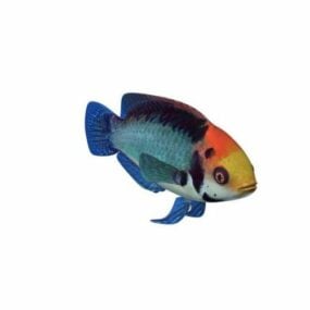 Barracuda Fish 3d model