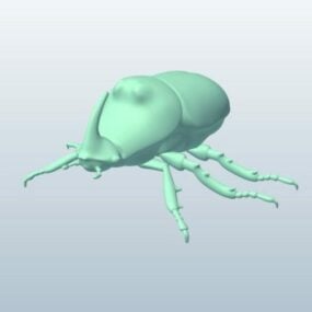 Rhinoceros Beetle Lowpoly 3D模型