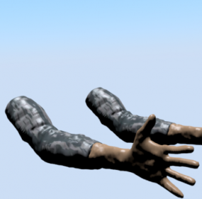 Human Arms Rigged 3d model