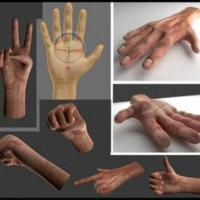 دست انسان با Rigged مدل سه بعدی