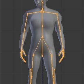 Rigged Mannlig menneskekropp 3d-modell