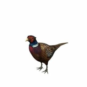 Model 3d Burung Pheasant Berleher Cincin