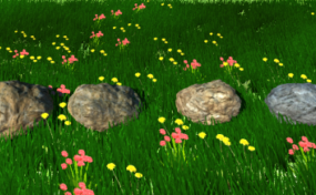Rock Stone On Field 3d model