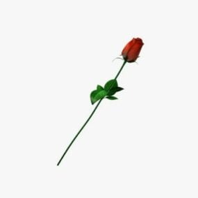 Model 3D pojedynczego kwiatu róży