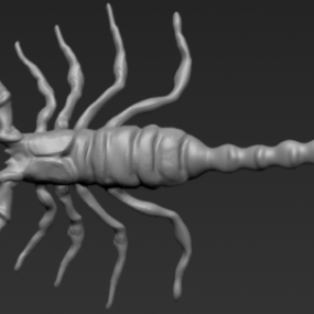 Lowpoly Skorpion 3D-Modell