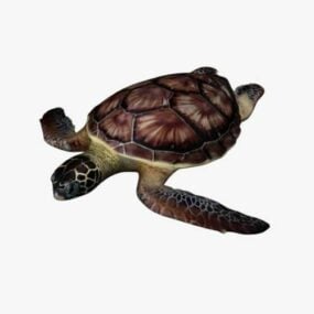 Mô hình 3d động vật rùa biển hoang dã