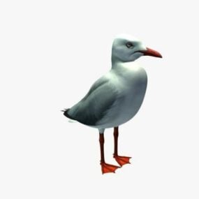 3D model ptáka racka