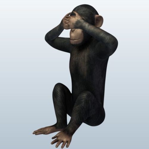 Realistische Gorilla