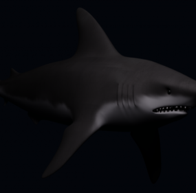 Sea Black Shark 3d model