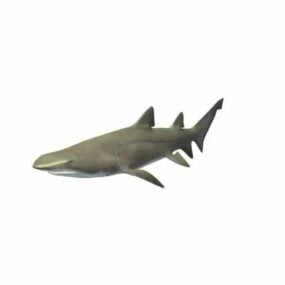 Modello 3d animale realistico dello squalo