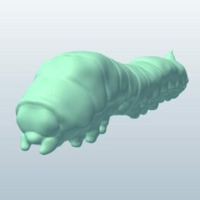 蚕昆虫3D模型