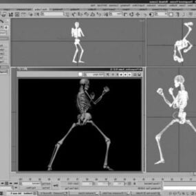 Menneskeligt skelet med Rigged 3d model