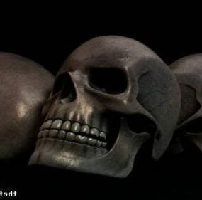 3d модель старого людського черепа