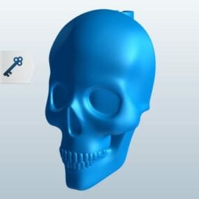 Cráneo humano con dientes modelo 3d