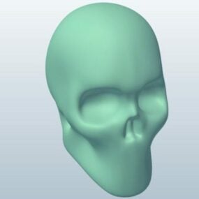 Skull Lowpoly mô hình 3d