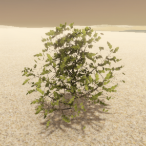 Modelo 3d de planta pequena de arbusto