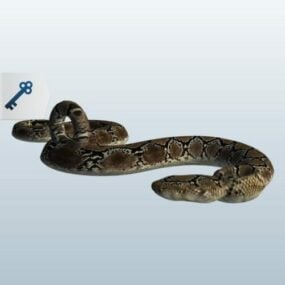Nature Snake 3d model