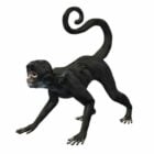 Spider Monkey Character