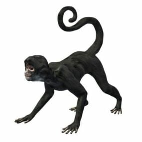 3D model postavy pavoučí opice