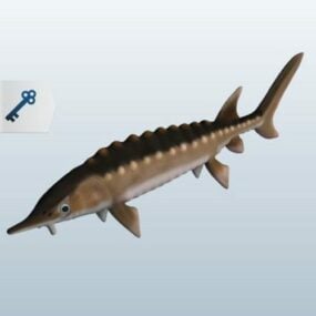 철갑상어 물고기 3d 모델