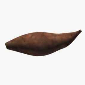 3д модель корнеплода картофеля