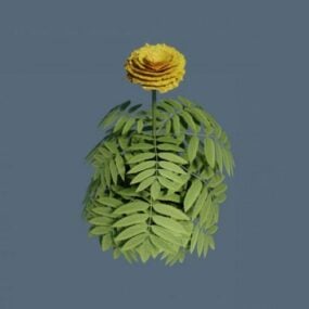 Tagetes Ringelblumenblume 3D-Modell