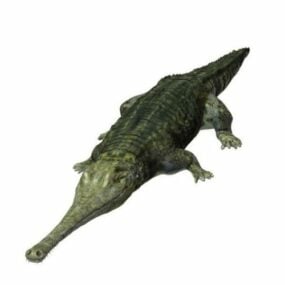 تمساح با Rigged مدل سه بعدی