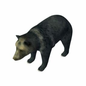 藏熊3D模型
