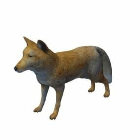 Tibetský 3D model Fox