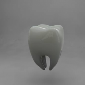 3д модель человеческого зуба