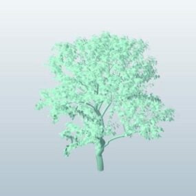Esboço de árvore Lowpoly modelo 3d