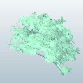 Bosquejo de árbol Arbustos modelo 3d