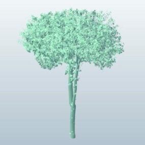 شجرة رسم النبات Lowpoly 3d نموذج